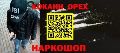 крисы Моздок