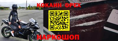прущие грибы Можга
