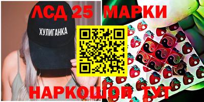 прущие грибы Можга