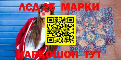крисы Моздок