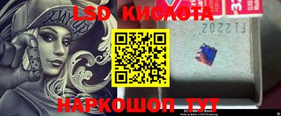 крисы Моздок
