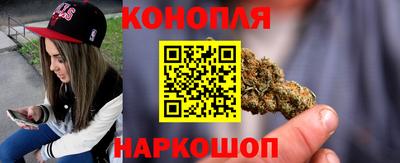 прущие грибы Можга