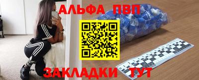 крисы Моздок