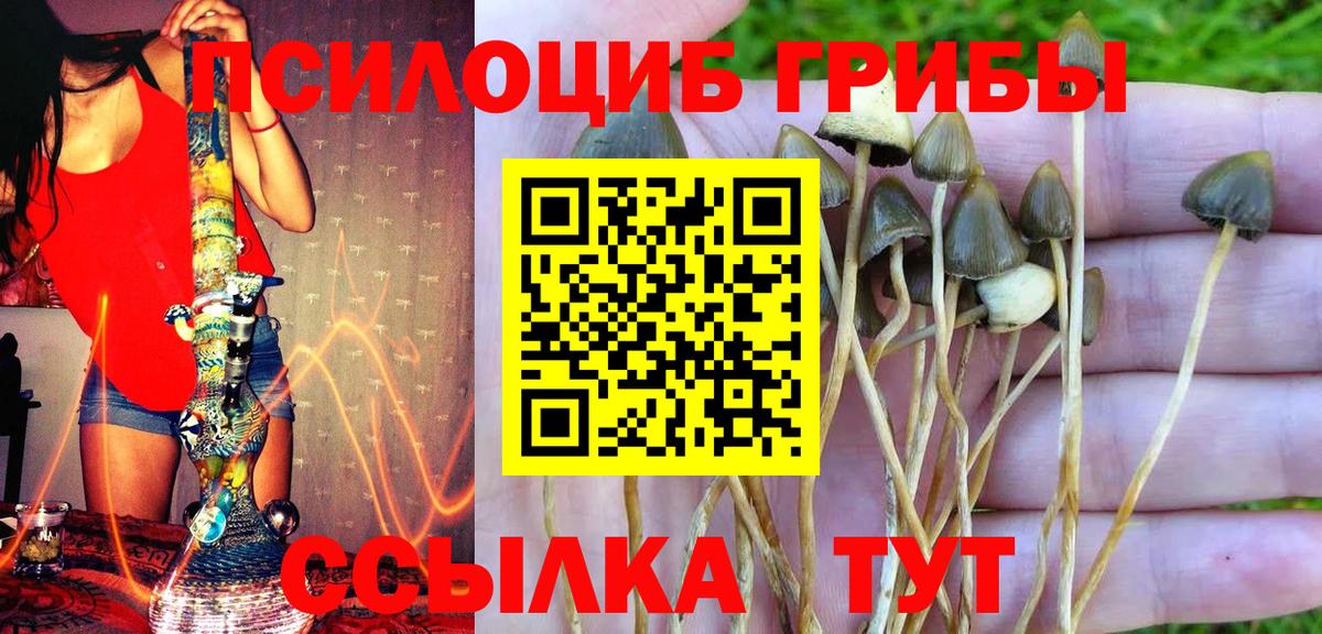 Галлюциногенные грибы Psilocybe  Вход с VPN  Галлюциногенные грибы ЛСД  Вышний Волочёк 