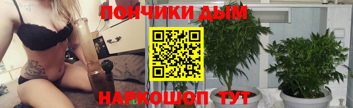 Каннабис Bruce Banner Вышний Волочёк